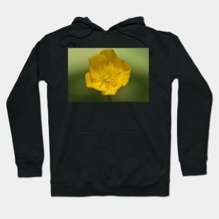 Buttercup 02 Hoodie